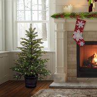 4 ft. Norwegian Spruce Entrance Tree with Clear Lights - National Tree Company