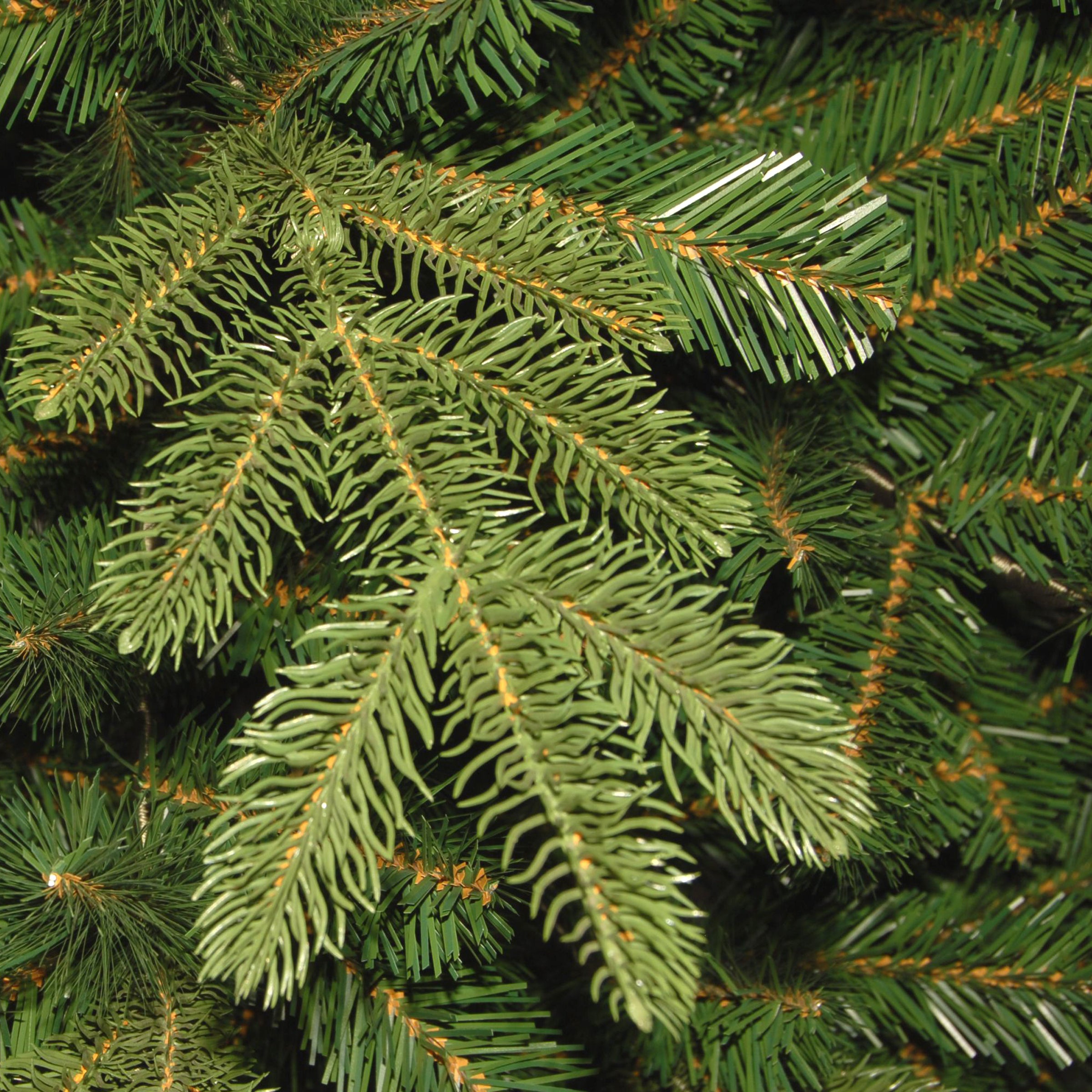 7.5 ft. Norwegian Spruce Tree · National Tree Company