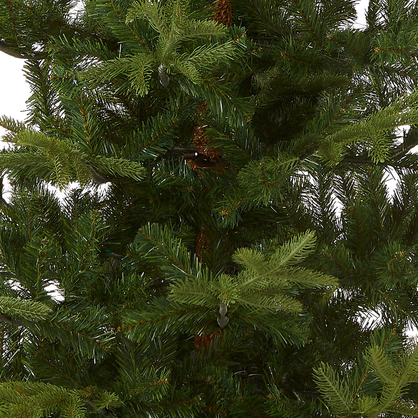 7.5 ft. Norwegian Spruce Tree - National Tree Company