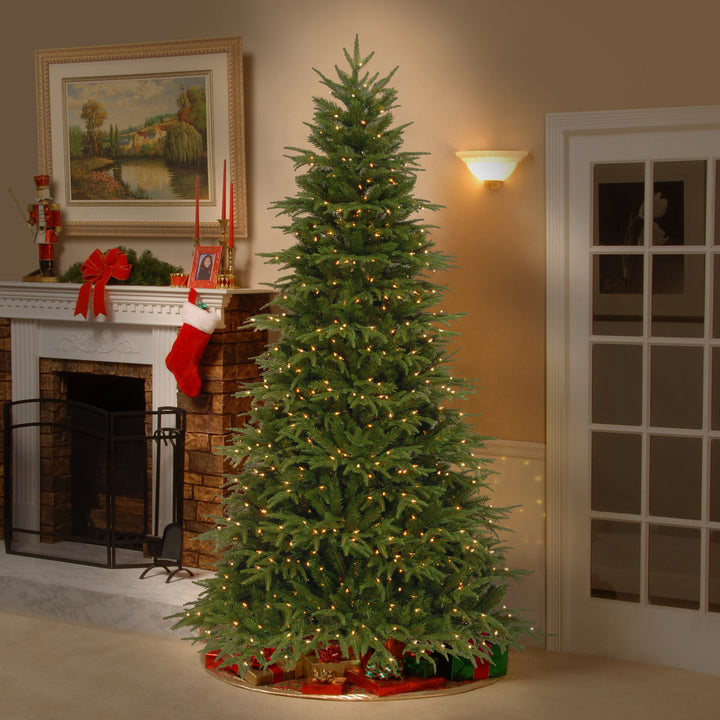 Pre-Lit 'Feel Real' Artificial Full Christmas Tree, Green, Northern Frasier Fir, White Lights, Includes Stand, 6.5 Feet