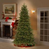 6.5 ft. Pre-Lit Northern Frasier Fir Tree with Clear Lights - National Tree Company