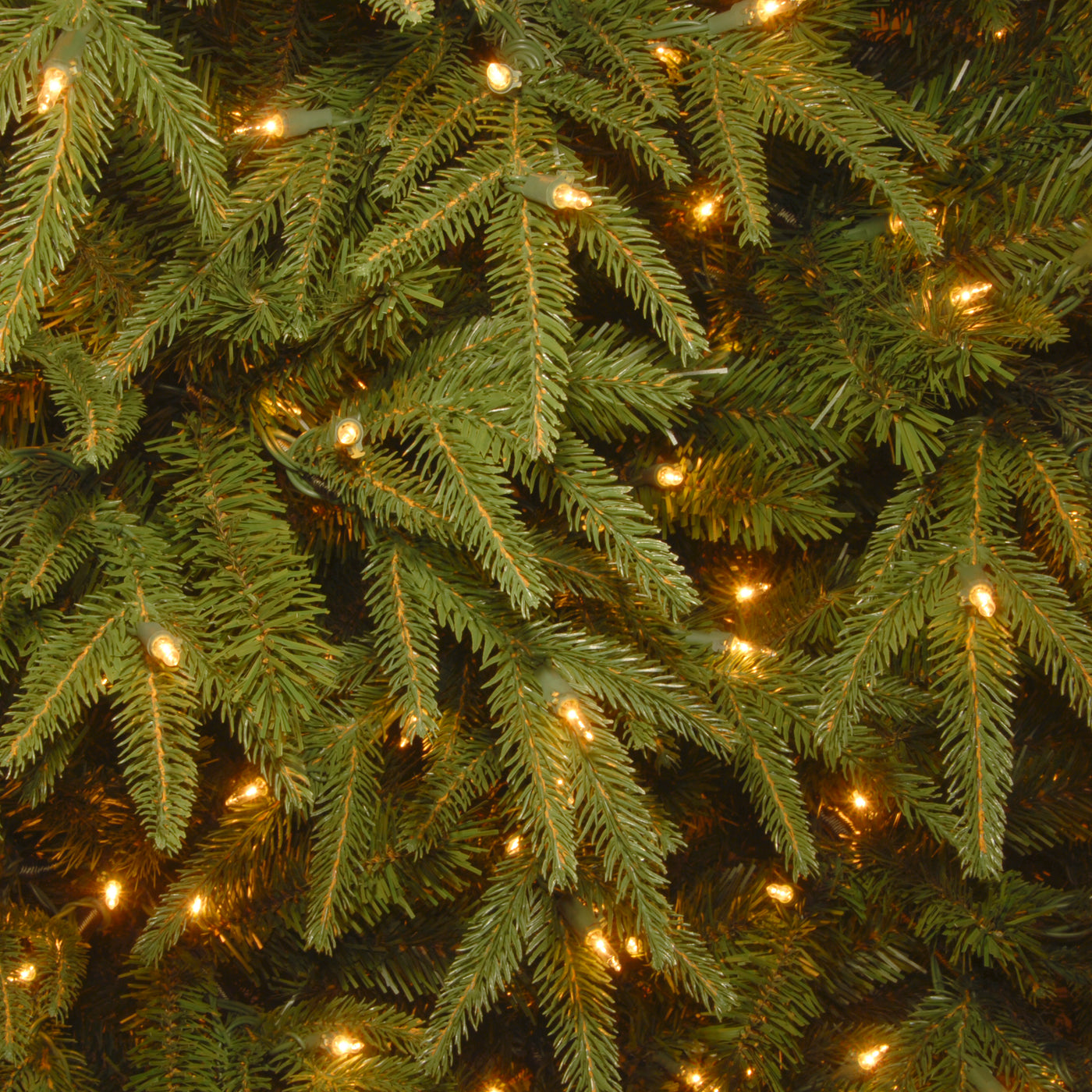 6.5 ft. Pre-Lit Northern Frasier Fir Tree with Clear Lights - National Tree Company