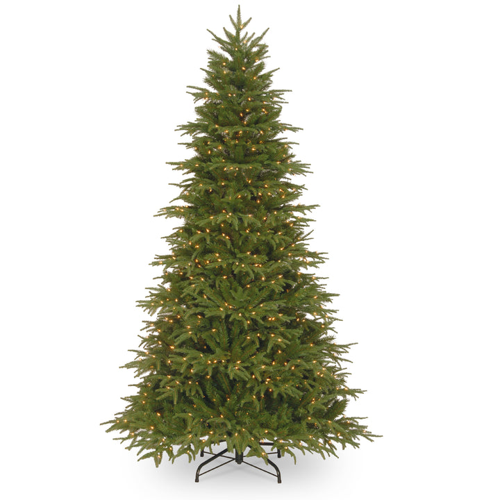 National Tree Company Pre-Lit 'Feel Real' Artificial Full Christmas Tree, Green, Northern Frasier Fir, White Lights, Includes Stand, 9 Feet