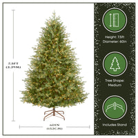 7.5 ft. Pre-Lit Nordic Spruce Medium Tree with Clear Lights - National Tree Company