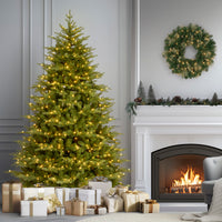 9 ft. Pre-Lit Nordic Spruce Medium Tree with Clear Lights - National Tree Company
