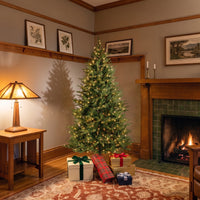 6.5 ft. Pre-Lit Nordic Spruce Slim Tree with Clear Lights - National Tree Company
