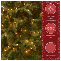 7.5 ft. Pre-Lit Nordic Spruce Slim Tree with Clear Lights, Plug-In - National Tree Company
