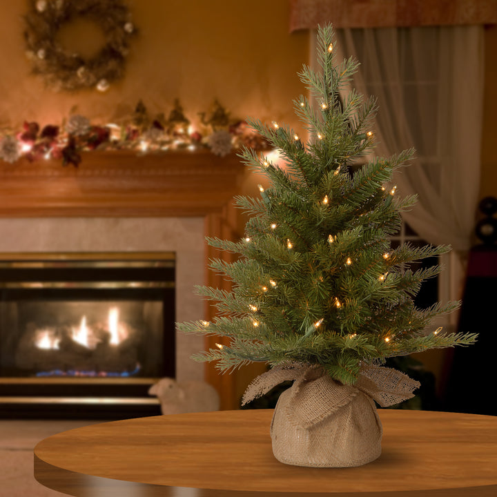 Pre-Lit 'Feel Real' Artificial Mini Christmas Tree, Green, Nordic Spruce, White Lights, Includes Burlap Bag Base, 2 Feet