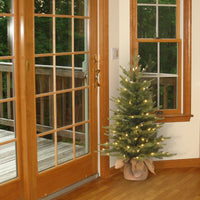 3 ft. Pre-Lit Nordic Spruce Tree with Clear Lights - National Tree Company