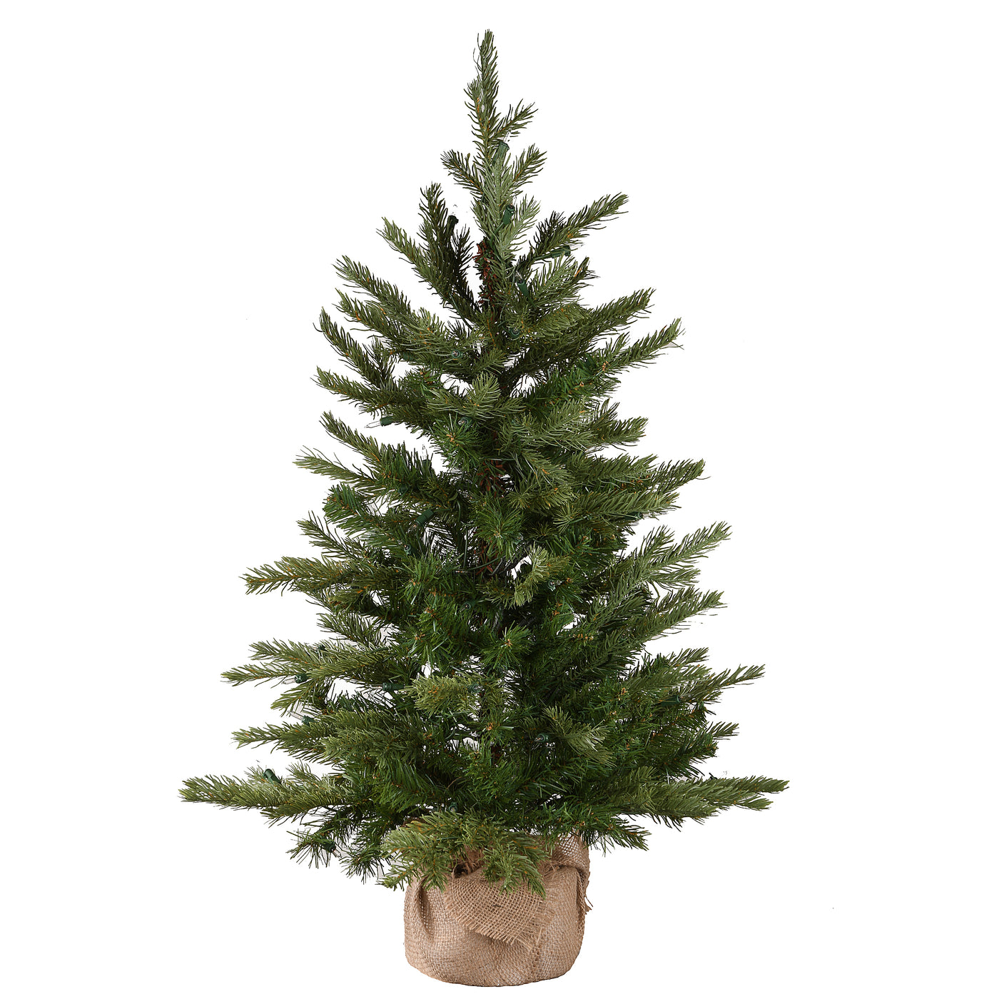 3 ft. Pre-Lit Nordic Spruce Tree with Clear Lights, Plug-In - National Tree Company