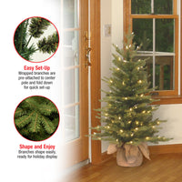 3 ft. Pre-Lit Nordic Spruce Tree with Clear Lights, Plug-In - National Tree Company