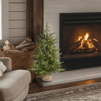 3 ft. Pre-Lit Nordic Spruce Tree with Clear Lights - National Tree Company