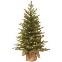 3 ft. Pre-Lit Nordic Spruce Tree with Clear Lights - National Tree Company