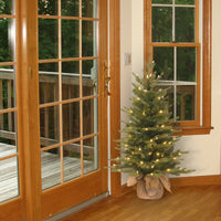 3 ft. Pre-Lit Nordic Spruce Tree with Clear Lights - National Tree Company
