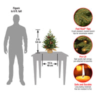 2 ft. Pre-Lit Nordic Spruce Tree with  LED Lights - National Tree Company