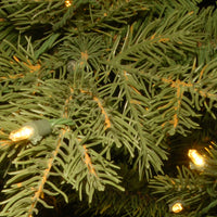 3 ft. Pre-Lit Nordic Spruce Tree with LED Lights - National Tree Company