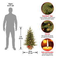 3 ft. Pre-Lit Nordic Spruce Tree with LED Lights - National Tree Company