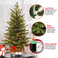 3 ft. Pre-Lit Nordic Spruce Tree with LED Lights - National Tree Company