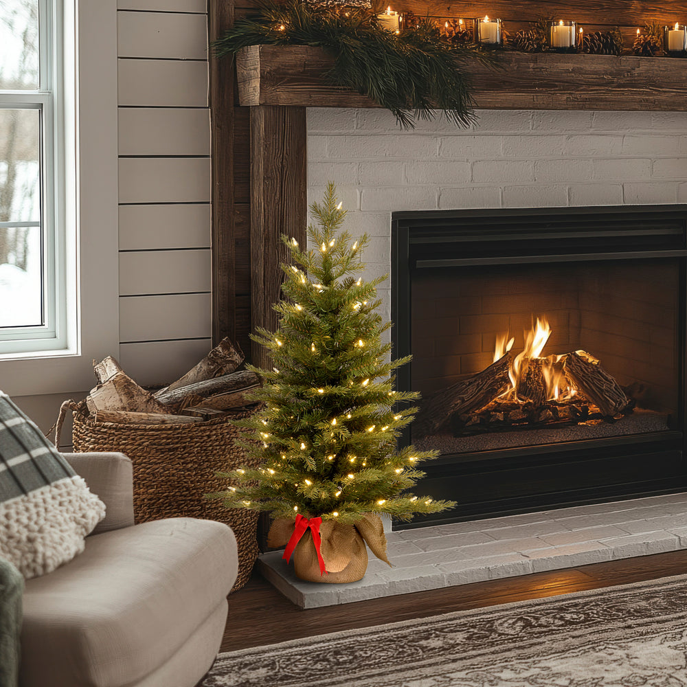 3 ft. Pre-Lit Kincaid Spruce Tree with Clear Lights, Plug-In main image 0