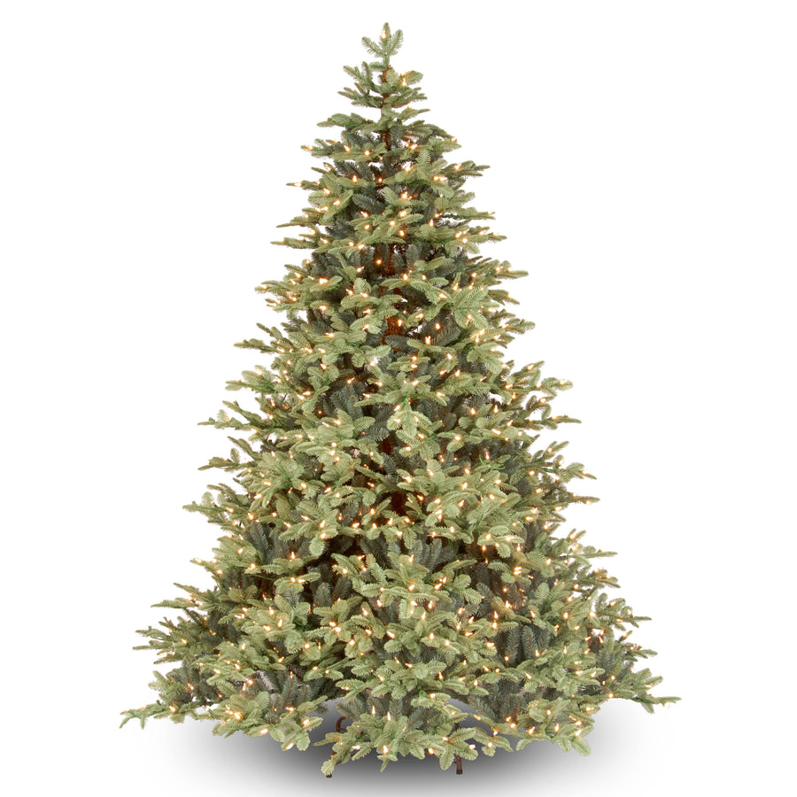 6.5 ft. Pre-Lit Noble Deluxe Fir Tree with Warm White LED Lights - National Tree Company