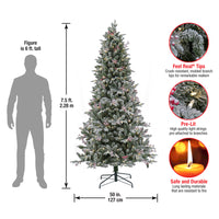 7.5 ft. Pre-Lit Snowy Poechmann Fir Tree with LED Lights - National Tree Company