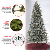 7.5 ft. Pre-Lit Snowy Poechmann Fir Tree with LED Lights - National Tree Company