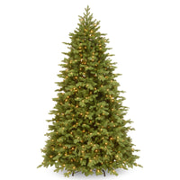 6.5 ft. Pre-Lit Princeton Fraser Fir Tree with  PowerConnect Dual Color LED Lights - National Tree Company