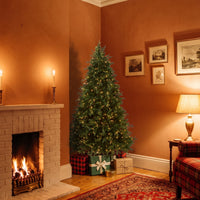 6.5 ft. Pre-Lit Princeton Fraser Fir Hinged Tree with  PowerConnect Dual Color LED Lights - National Tree Company
