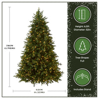 6.5 ft. Pre-Lit Princeton Fraser Fir Hinged Tree with  PowerConnect Dual Color LED Lights - National Tree Company
