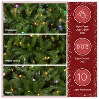 6.5 ft. Pre-Lit Princeton Fraser Fir Hinged Tree with  PowerConnect Dual Color LED Lights - National Tree Company