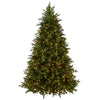 6.5 ft. Pre-Lit Princeton Fraser Fir Tree with  PowerConnect Dual Color LED Lights - National Tree Company