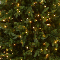 6.5 ft. Pre-Lit Princeton Fraser Fir Tree with  PowerConnect Dual Color LED Lights - National Tree Company