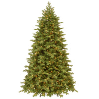 7.5 ft. Pre-Lit Princeton Fraser Fir Tree with PowerConnect and 800 Dual Color LED Lights - National Tree Company