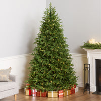 7.5 ft. Pre-Lit Princeton Fraser Fir Tree with PowerConnect and 800 Dual Color LED Lights - National Tree Company