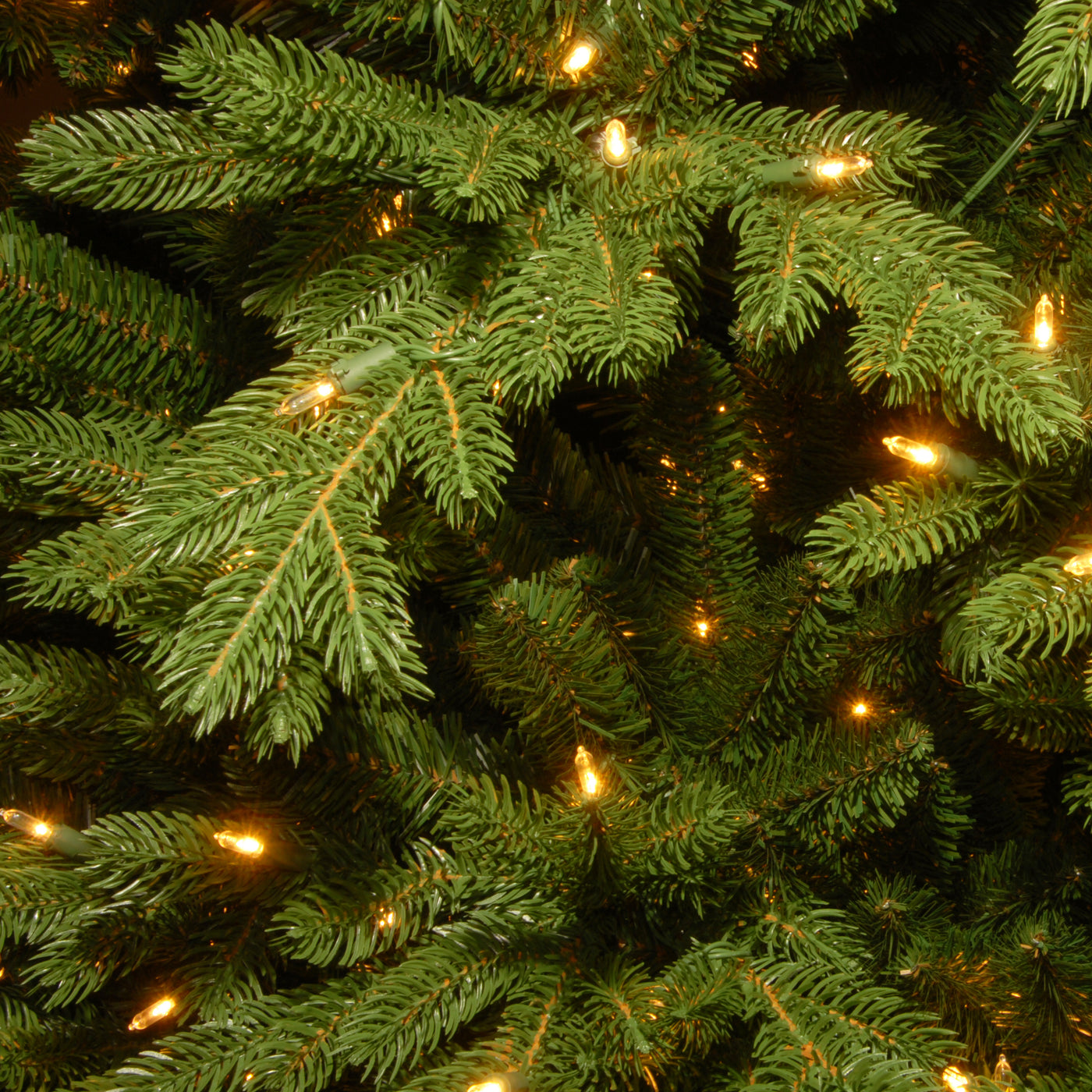 7.5 ft. Pre-Lit Princeton Fraser Fir Tree with PowerConnect and 800 Dual Color LED Lights - National Tree Company