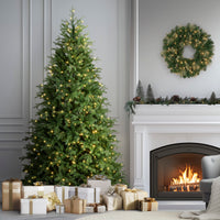 7.5 ft. Pre-Lit Princeton Fraser Fir Tree with PowerConnect and 800 Dual Color LED Lights - National Tree Company