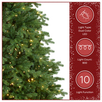 7.5 ft. Pre-Lit Princeton Fraser Fir Tree with PowerConnect and 800 Dual Color LED Lights - National Tree Company