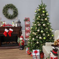 7.5 ft. Pre-Lit Princeton Fraser Fir Tree with PowerConnect and 800 Dual Color LED Lights - National Tree Company