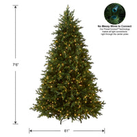 7.5 ft. Pre-Lit Princeton Fraser Fir Tree with PowerConnect and 800 Dual Color LED Lights - National Tree Company