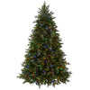 7.5 ft. Pre-Lit Princeton Fraser Fir Tree with PowerConnect and 800 Dual Color LED Lights - National Tree Company