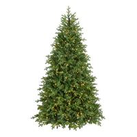 7.5 ft. Pre-Lit Princeton Fraser Fir Tree with PowerConnect and 800 Dual Color LED Lights - National Tree Company