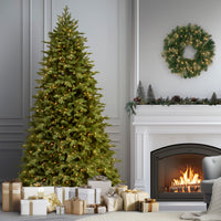 9 ft. Pre-Lit Princeton Fraser Fir with PowerConnect Dual Color LED Lights - National Tree Company