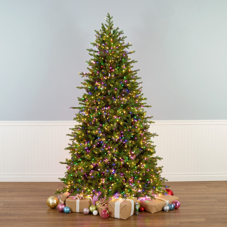 7.5 ft. Pre-Lit Princeton Fraser Fir Tree with LED Lights