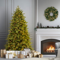 7.5 ft. Pre-Lit Princeton Fraser Fir Tree with PowerConnect and 1000 Dual Color LED Lights - National Tree Company