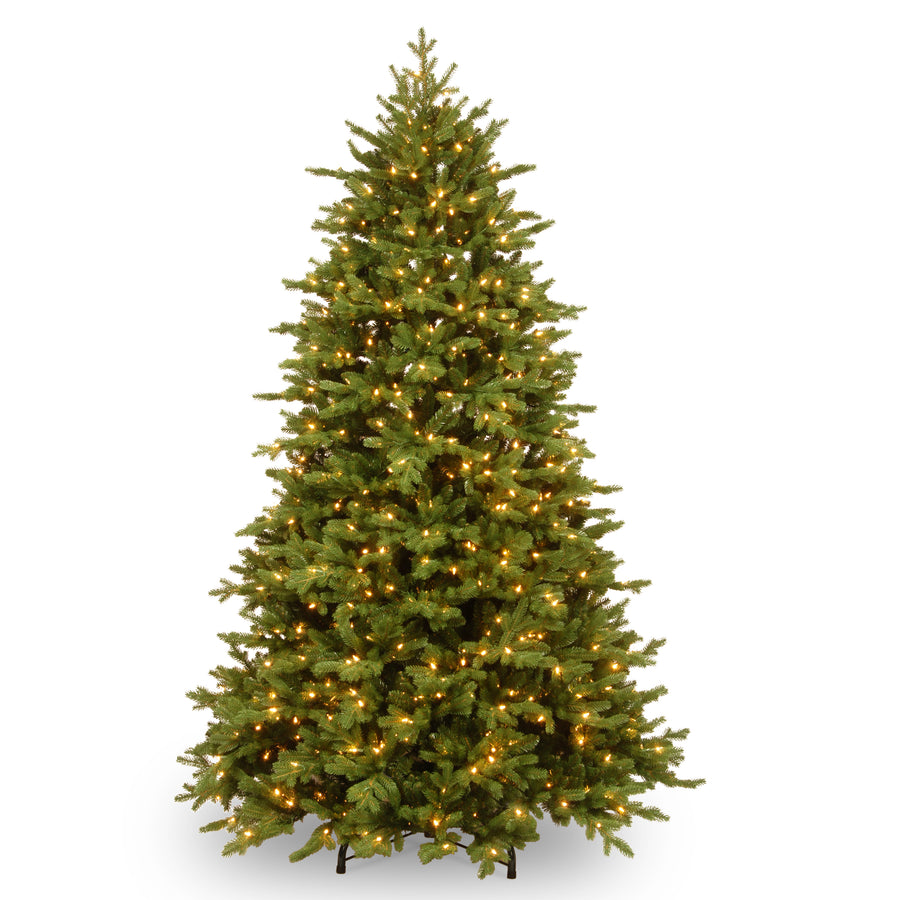 7.5 ft. Pre-Lit Princeton Deluxe Fraser Fir Tree with PowerConnect Dual Color LED Lights - National Tree Company