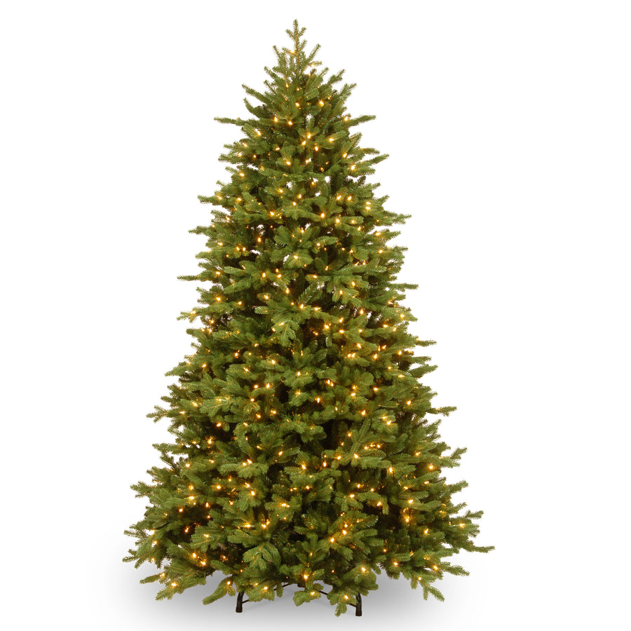 9 ft. Pre-Lit Princeton Deluxe Fraser Fir Tree with PowerConnect Dual Color LED Lights - National Tree Company