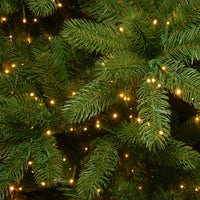 7.5 ft. Princeton Deluxe Fraser Fir Hinged Tree with PowerConnect Dual Color LED Lights - National Tree Company