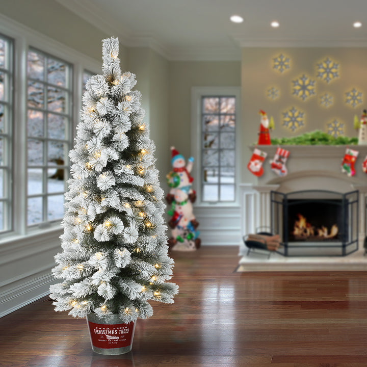 Pre-Lit Artificial Christmas Entrance Tree, Snowy Pogue Pine, with Warm White LED Lights, Plug in, 5 ft