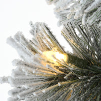 5 ft. Pre-Lit Snowy Pogue Pine Slim Tree with LED Lights, Plug-In - National Tree Company