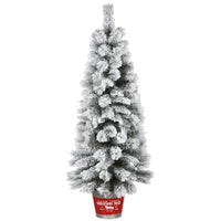 5 ft. Pre-Lit Snowy Pogue Pine Slim Tree with LED Lights, Plug-In - National Tree Company